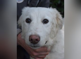 Sterling - So jung und so chancenlos ...