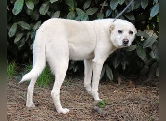 Talete - das Stehaufmännchen