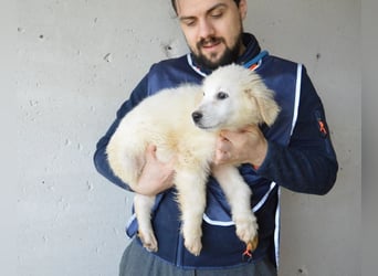 Cilwen - SOS - Weiß jemand, was aufpassen eigentlich heißt ?