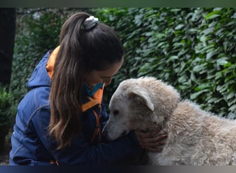 Generosa - Ein Adler bleibt ein Adler...