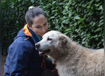 Generosa - Ein Adler bleibt ein Adler...