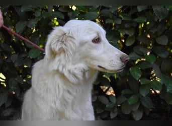 Thulin - Eigentlich ist ja alles da...