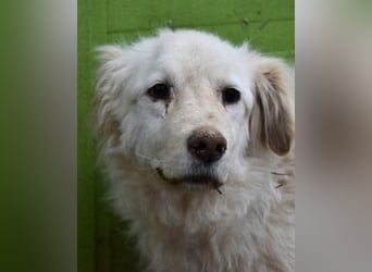 Graciela - NOTFALL - Was hatte sie schon...