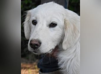 Syrio - So jung und so chancenlos ..