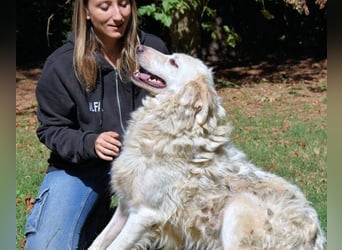 Hadeus - Wovon träumst du?