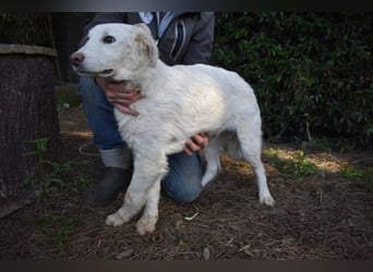 Sterling - So jung und so chancenlos ...