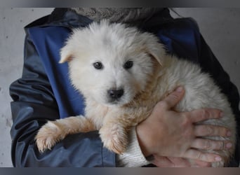 Clyro - SOS - Weiß jemand, was aufpassen eigentlich heißt ?