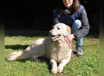 Fyona - Hell wie das Licht