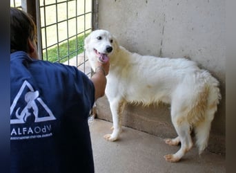 Habriel - weiß, es wird einmal ein Wunder gescheh'n