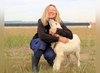 Garth - Kannst du machen, dass es nicht so lange dauert?