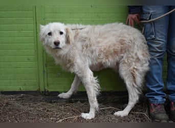 Graciela - NOTFALL - Was hatte sie schon...