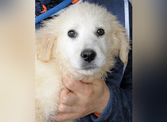 Cilwen - SOS - Weiß jemand, was aufpassen eigentlich heißt ?