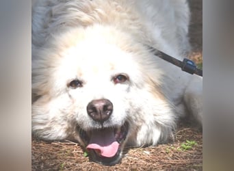 Alida - Unter dem Mantel der Verwahrlosung