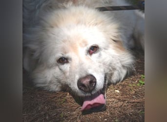 Alida - Unter dem Mantel der Verwahrlosung