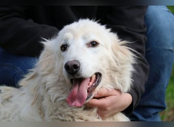 Alida - Unter dem Mantel der Verwahrlosung