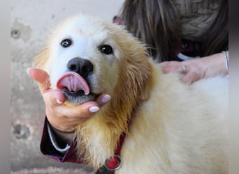 Cairox - SOS - Weiß jemand, was aufpassen eigentlich heißt?
