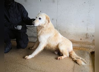 Frieder - Gibt es ein Leben jenseits von Schmerz und Einsamkeit?