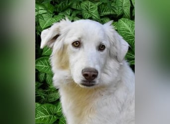 Thulin - Eigentlich ist ja alles da...