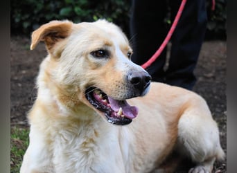 Admeto - Nur ein Wunsch: endlich nach Hause!