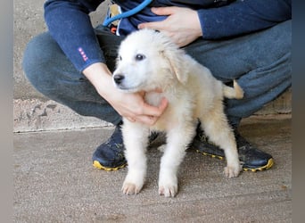 Cilwen - SOS - Weiß jemand, was aufpassen eigentlich heißt ?