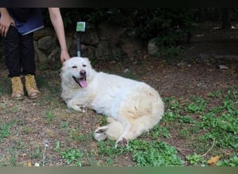 Fyona - Hell wie das Licht