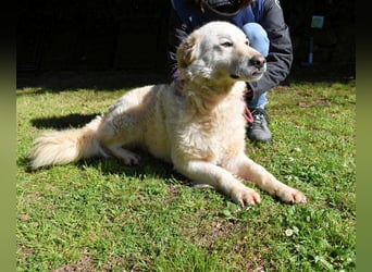 Fyona - Hell wie das Licht