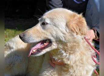 Fyona - Hell wie das Licht