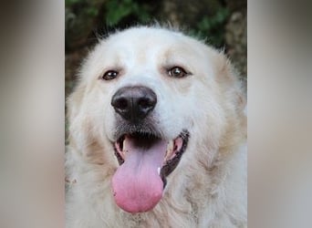 Papak - Nutze den Tag!