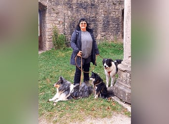 Uriel -  Zeigst du mir den Weg?