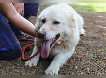 Fyona - Hell wie das Licht