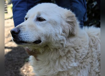 Fyona - Hell wie das Licht