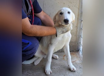 Barry - Vertrauen will gelernt sein.....