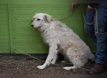 Graciela - NOTFALL- Was hatte sie schon...