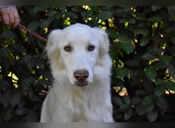 Thulin - Eigentlich ist ja alles da...