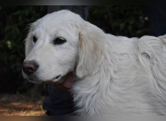 Syrio - So jung und so chancenlos ..