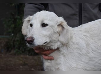 Solitelle - So jung und so chancenlos ...