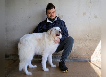 Wania - Zur falschen Zeit am falschen Ort...