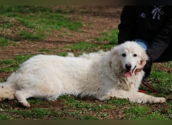Alida - Unter dem Mantel der Verwahrlosung