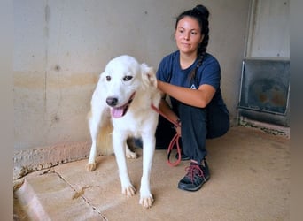 Habriel - weiß, es wird einmal ein Wunder gescheh'n