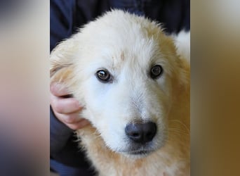 Clyro - SOS - Weiß jemand, was aufpassen eigentlich heißt ?