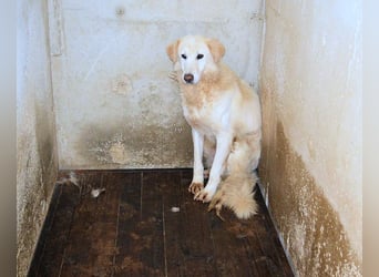 Frieder - Gibt es ein Leben jenseits von Schmerz und Einsamkeit?