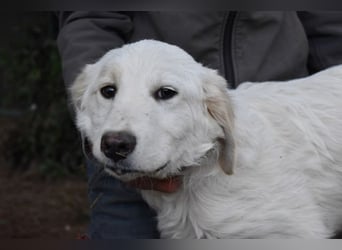 Stobin - So jung und so chancenlos ...