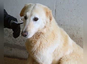 Frieder - Gibt es ein Leben jenseits von Schmerz und Einsamkeit?