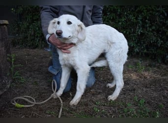 Solitelle - So jung und so chancenlos ...