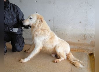 Frieder - Gibt es ein Leben jenseits von Schmerz und Einsamkeit?