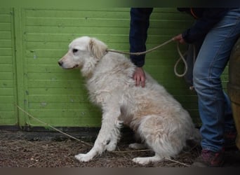 Graciela - NOTFALL- Was hatte sie schon...