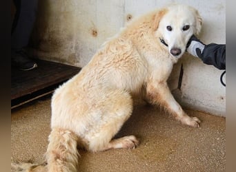 Frieder - Gibt es ein Leben jenseits von Schmerz und Einsamkeit?