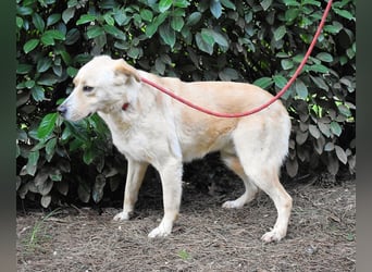 Admeto - Nur ein Wunsch: endlich nach Hause!