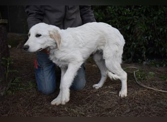 Stobin - So jung und so chancenlos ...