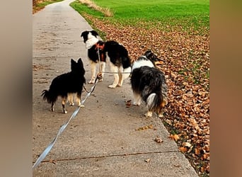 Uriel -  Zeigst du mir den Weg?